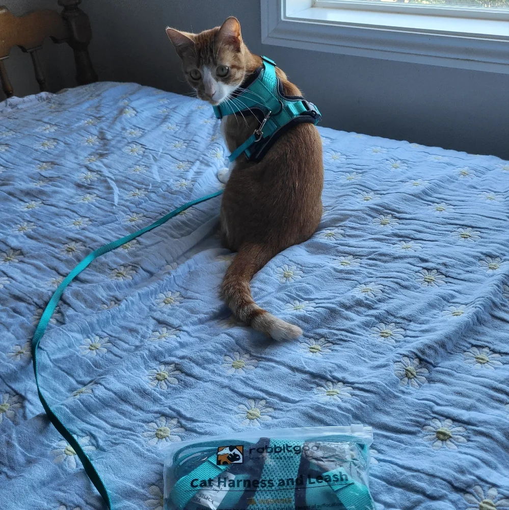 Rabbitgoo NWT Small Cat Harness and Leash